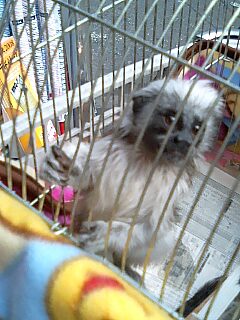 img20071030_2.jpg