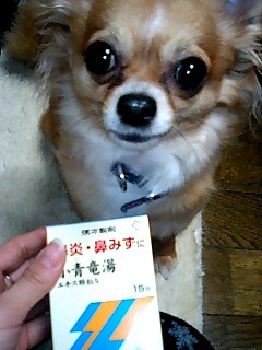 img20080330.jpg