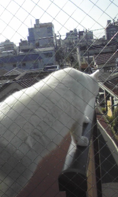 img20091023.jpg