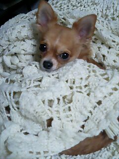 img20071129.jpg