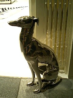 img20070829.jpg
