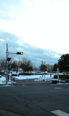 c6833197.jpg