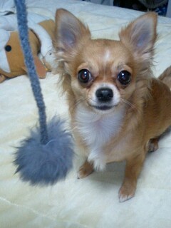 img20071230.jpg