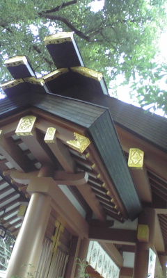 img20091028.jpg