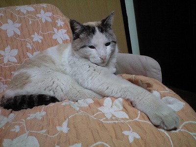 img20080324_1.jpg