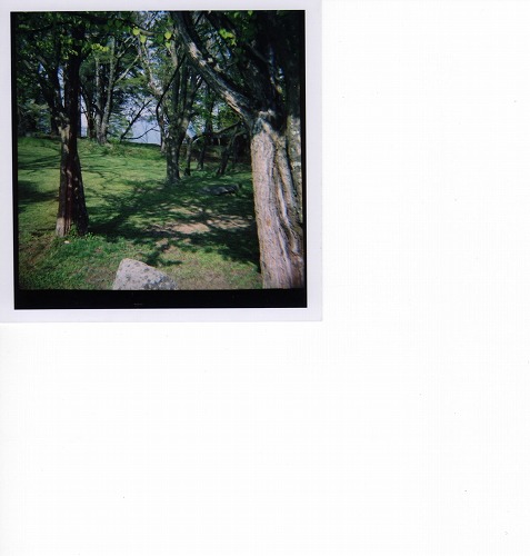 epson004.jpg