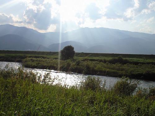 img20080517_4.jpg