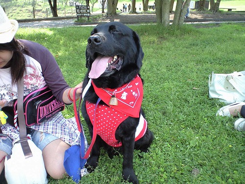 img20080526_6.jpg
