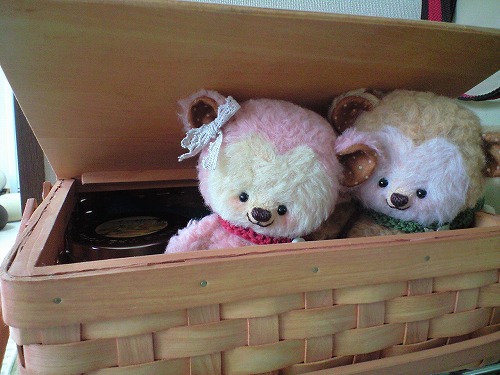 2008chickbear4.jpg