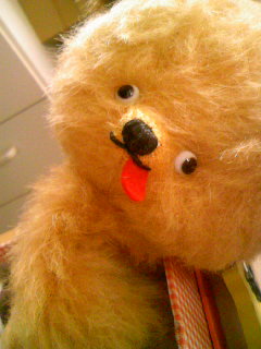 img20070718.jpg
