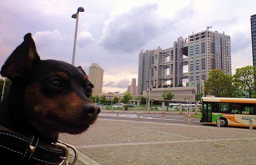 img20080526_4.jpg