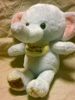 img20070713_1.jpg