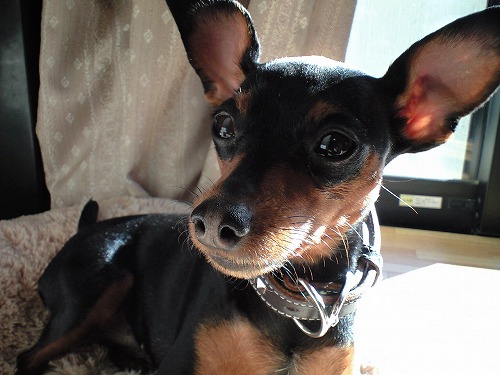 img20090119.jpg