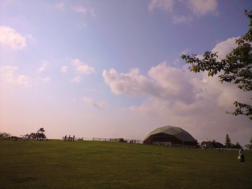 img20080526_2.jpg