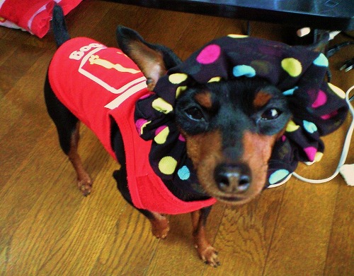 img20080613_4.jpg