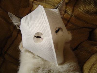 maskman.jpg
