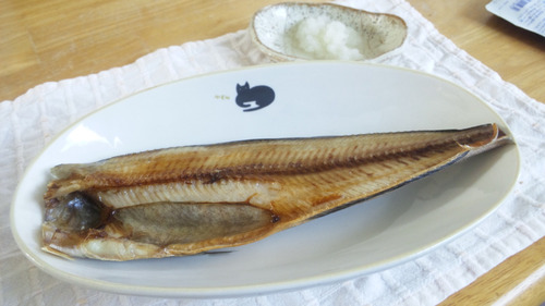 hokke