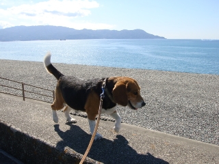 img20090217_1.jpg
