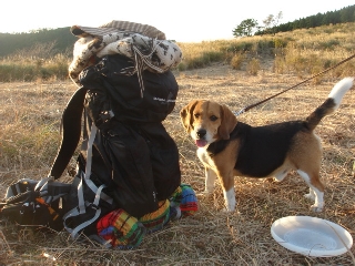 img20061212_3.jpg