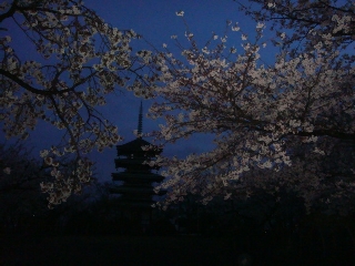 img20090406.jpg