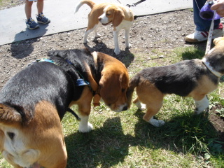 img20050508.jpg