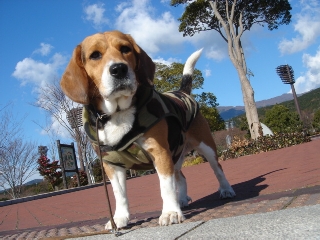 img20060101.jpg