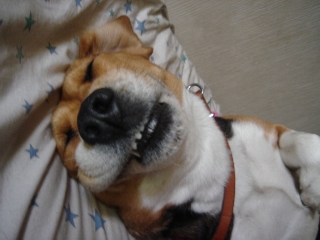 img20050521_1.jpg