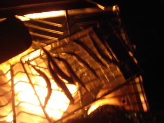 img20061212_7.jpg