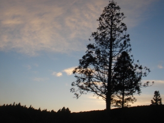 img20061212.jpg