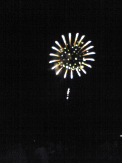 image9790toihanabi.jpg