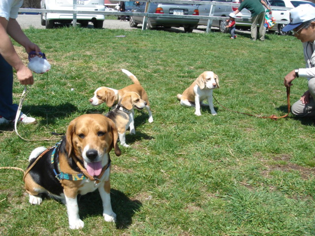 DSC00435.jpg