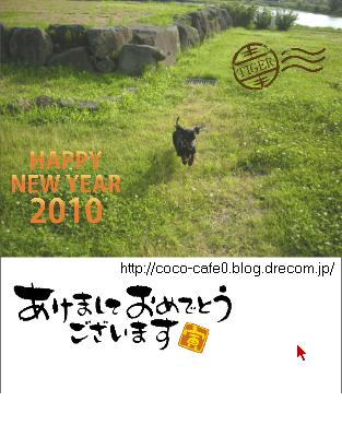 nenga2010_coco3.jpg