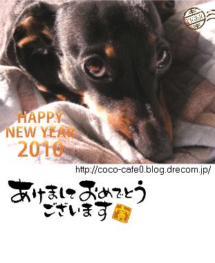 nenga2010_coco_best.jpg