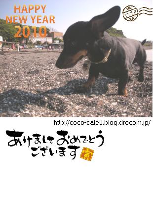 nenga2010_coco2.jpg