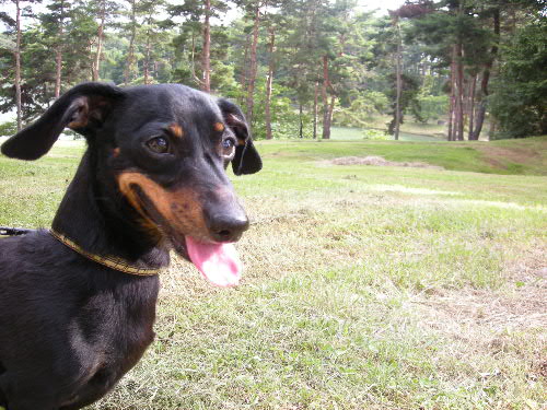 dscn4984.jpg