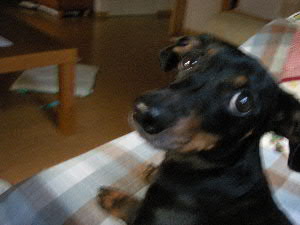 dscn5118.jpg