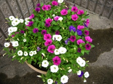 img_1780.jpg