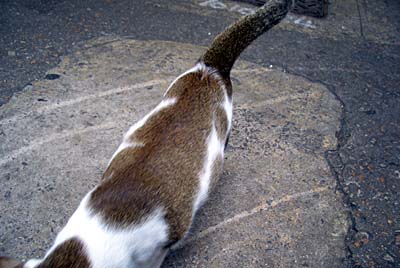 img20061123.jpg