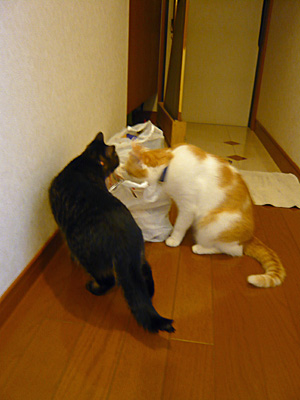 p1030206.jpg