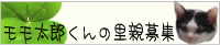 427_1.gif