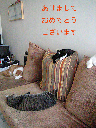 img20080102_1.jpg