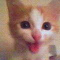 20031221_1828_000.jpg