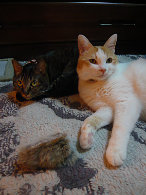 p1030756.jpg