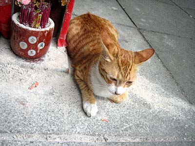 img20070426_2.jpg