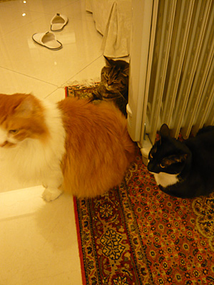 p1030649.jpg