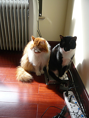 p1030566_edited-1.jpg