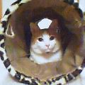 20061130_2006_000.jpg