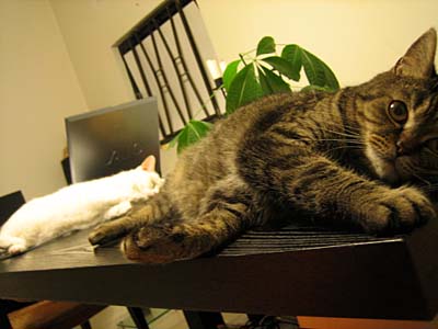 img20070427_2.jpg