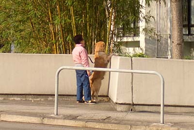 img20070207.jpg