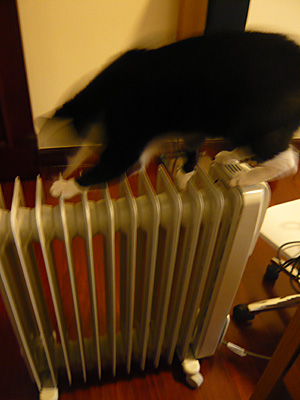 p1030560.jpg